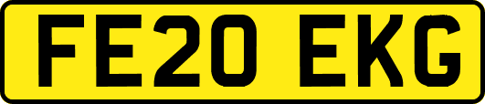 FE20EKG