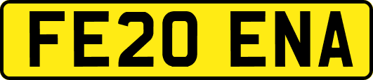 FE20ENA