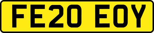 FE20EOY