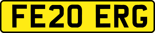FE20ERG