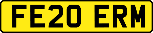 FE20ERM
