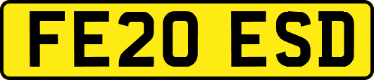FE20ESD