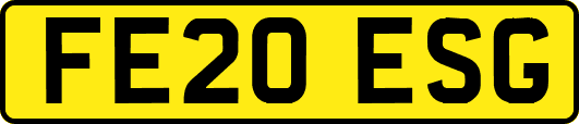FE20ESG