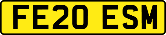 FE20ESM