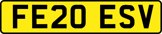 FE20ESV