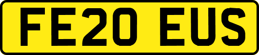FE20EUS