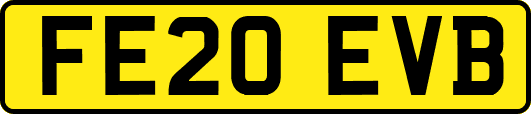 FE20EVB