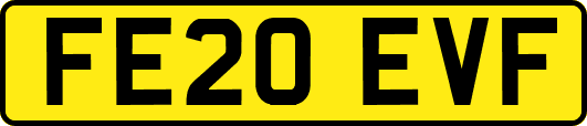 FE20EVF