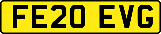 FE20EVG