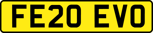 FE20EVO