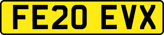 FE20EVX