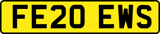FE20EWS