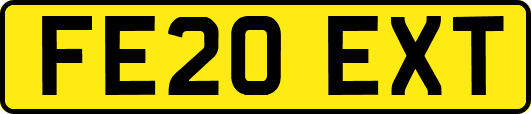 FE20EXT