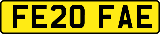FE20FAE