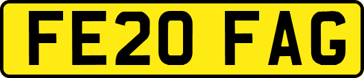 FE20FAG