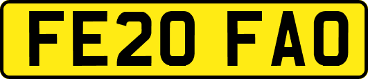 FE20FAO