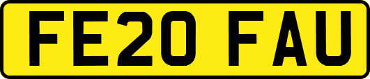 FE20FAU