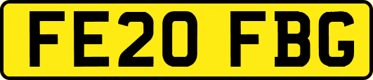 FE20FBG