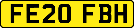 FE20FBH
