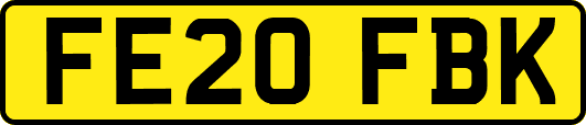 FE20FBK