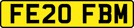 FE20FBM