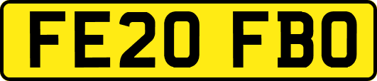 FE20FBO