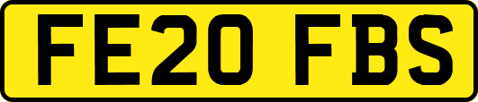FE20FBS