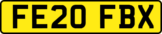 FE20FBX