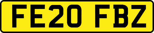 FE20FBZ