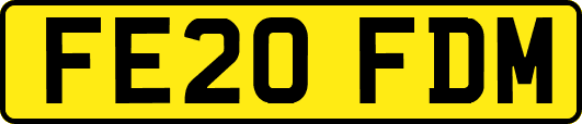 FE20FDM