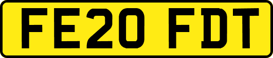 FE20FDT