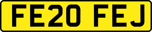 FE20FEJ