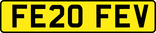 FE20FEV
