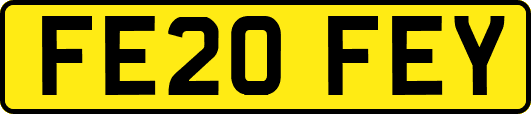 FE20FEY