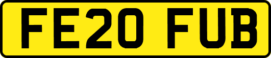 FE20FUB