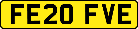 FE20FVE