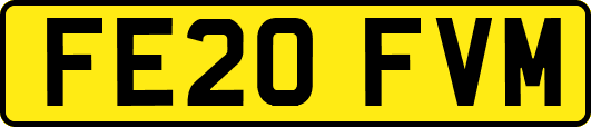 FE20FVM