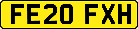 FE20FXH