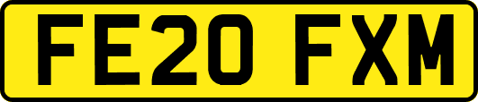 FE20FXM