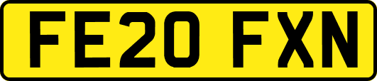 FE20FXN