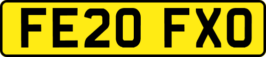 FE20FXO