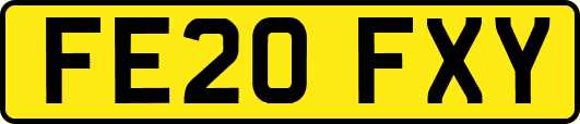 FE20FXY