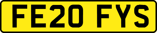 FE20FYS