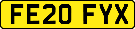 FE20FYX