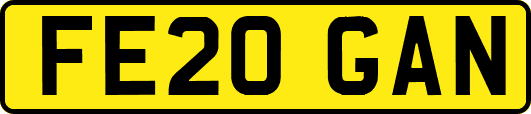 FE20GAN