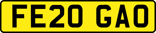 FE20GAO