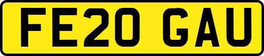 FE20GAU