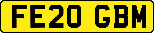 FE20GBM