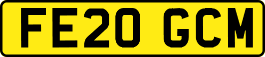 FE20GCM