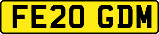 FE20GDM